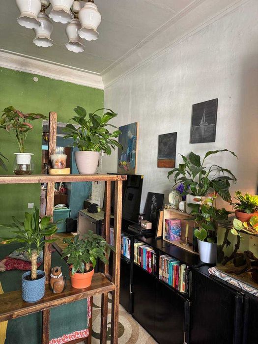 Сдам евро квартиру на Шота Руставели