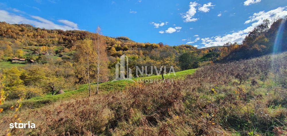 Teren extravilan,7000 mp,Salciua de Jos