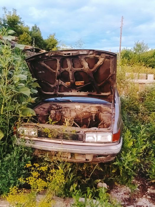 Авто не наход у Mitsubishi