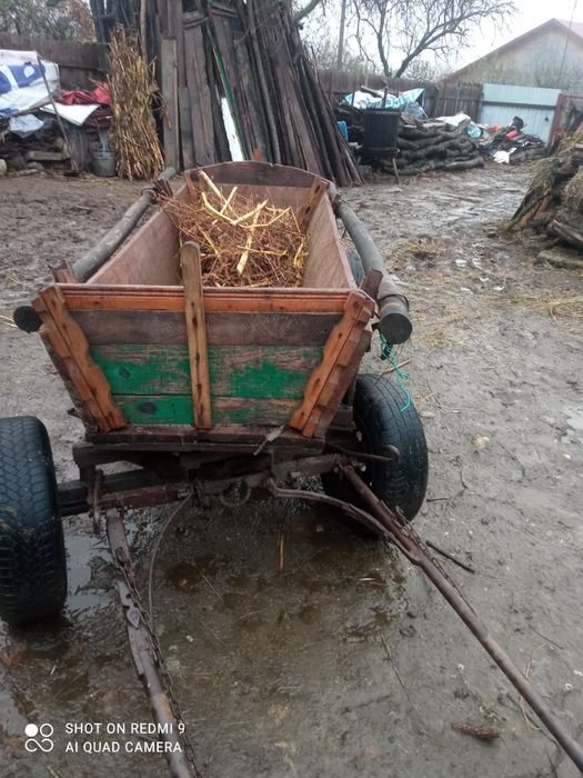 Vând cal și căruța  ,5000 lei