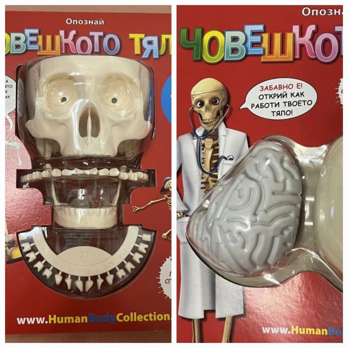 Човешкото тяло 1-ви и 2-ри брой