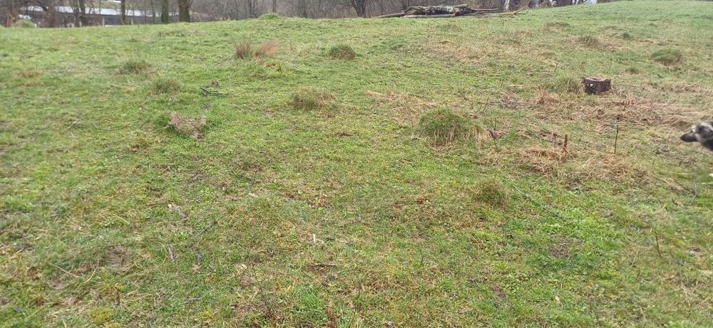 Teren intravilan 1260 mp la asfalt, Valea Unghiului Prahova