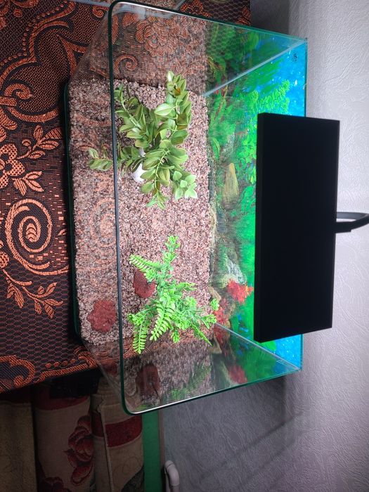 Yengi akvaryum sotiladi