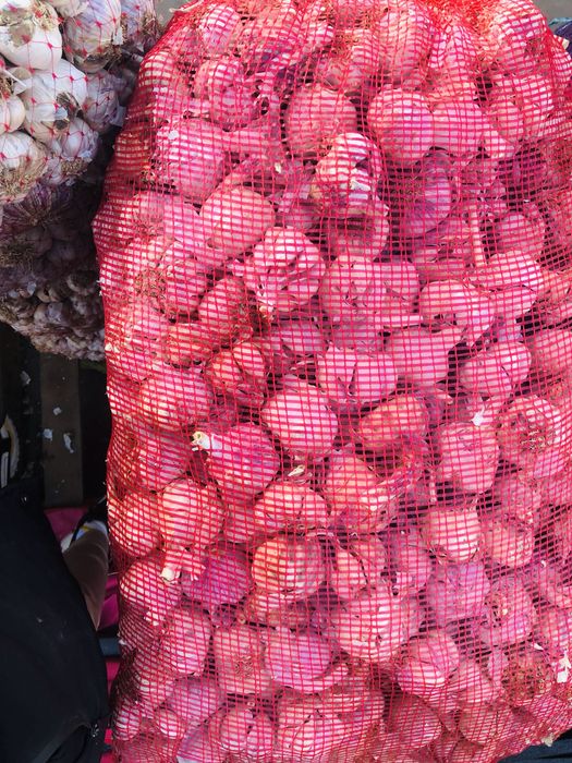 Vand usturoi de pus si de consum