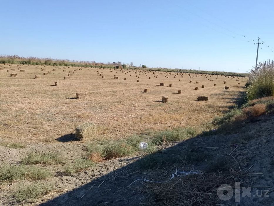 Arzan va beda pres sotiladi