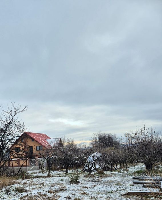 Vand teren constructii+livada in Filioara jud NT 13Eur/mp