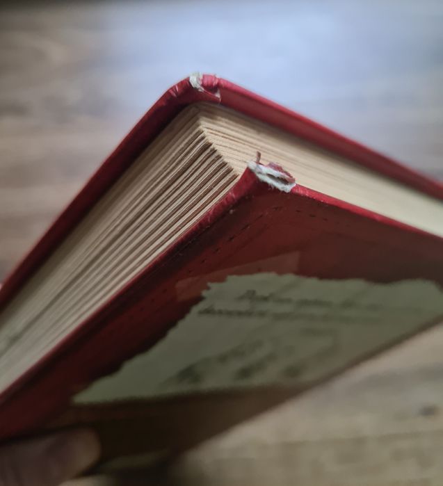 Jurnalul unui pusti vol I