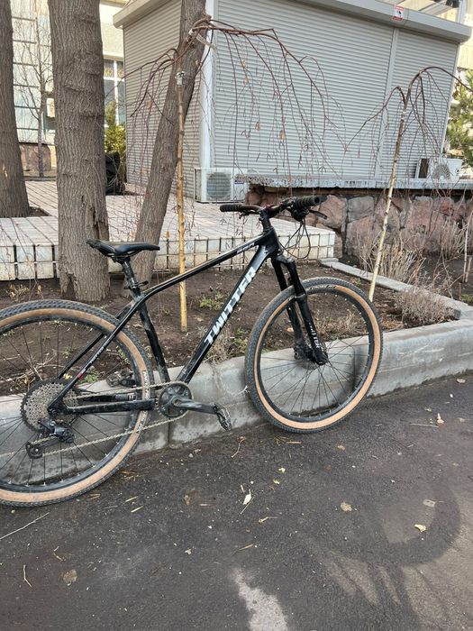 Twitter leopard pro 29