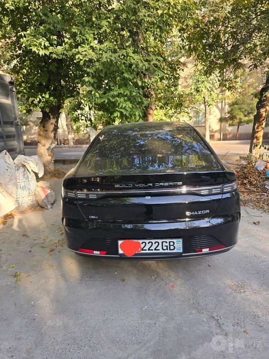 Byd chazor flagship. Gibrid