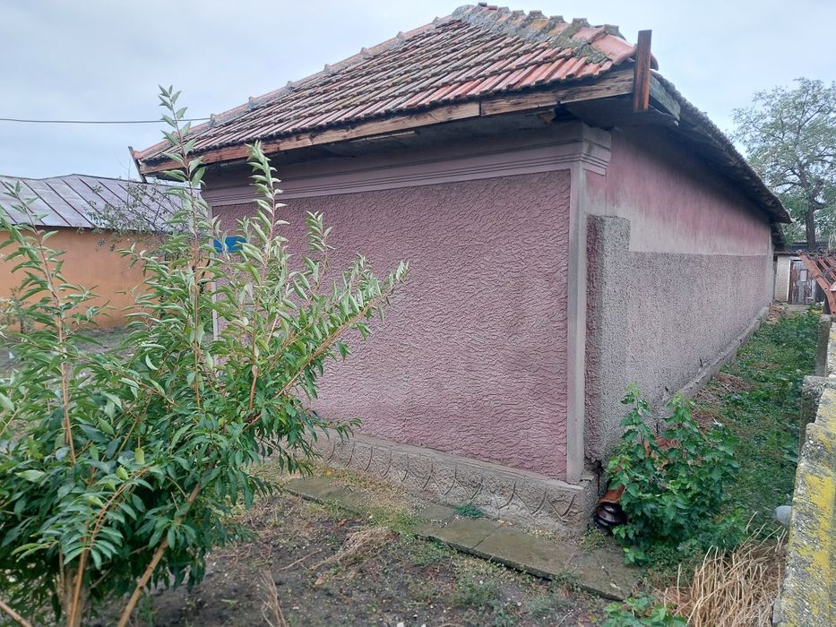 Teren casa Alexandria deschidere mare