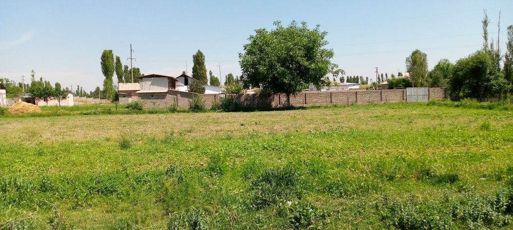 Srochno!!! Bosh yer sotiladi