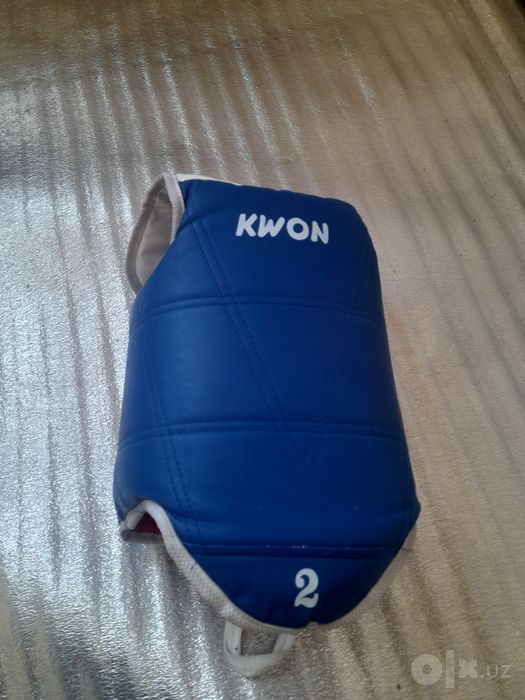 Taekwondo Pratektor
