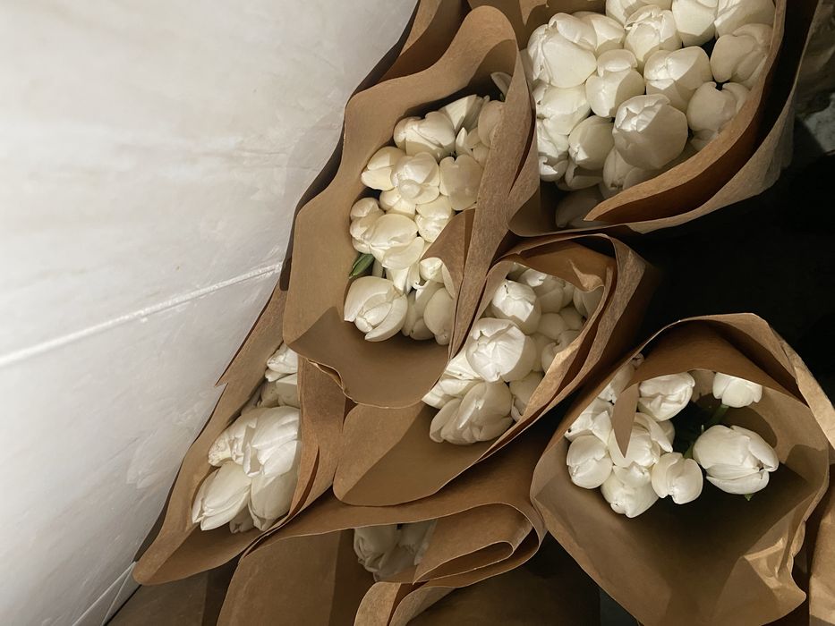 Тюльпаны по 500 тг