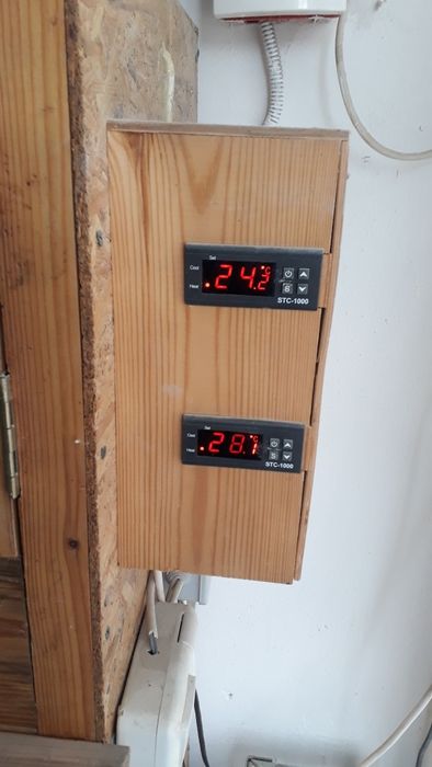 Брудер для цеплят