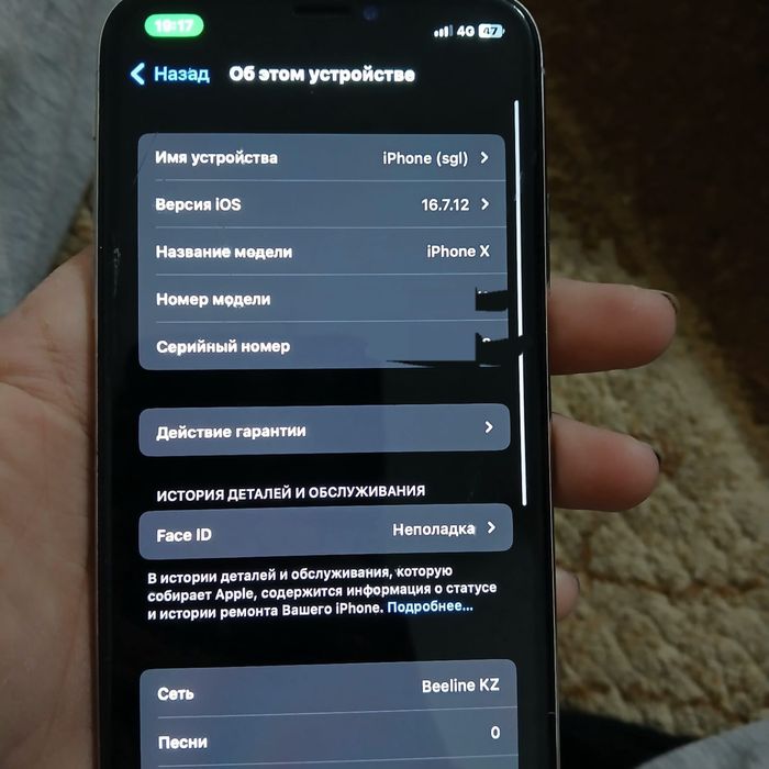 Iphone X состояние 100%