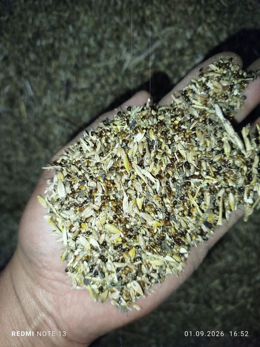 продам зерно отход