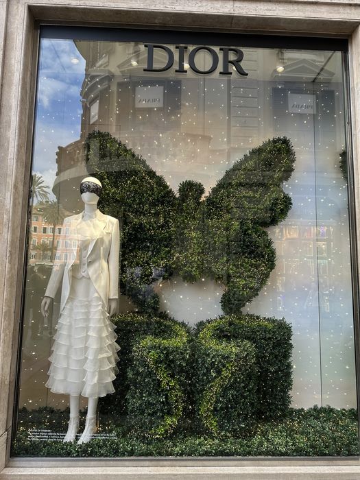 Оригинална звезда Dior