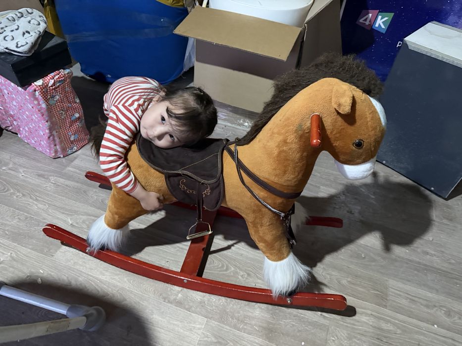 Лошадь детская сатылады