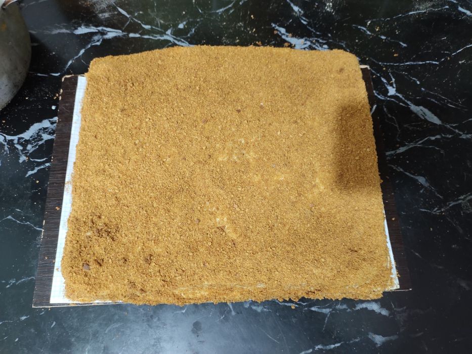 Domashniy pishiriqlar