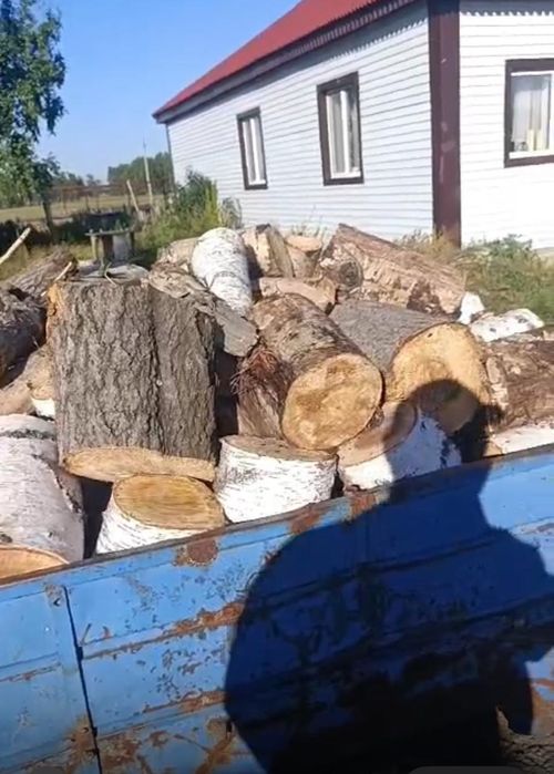 Продам дрова сосну