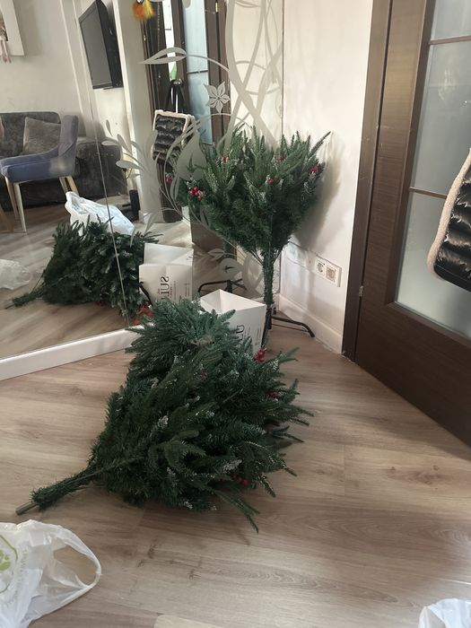 Елка елка зеленая