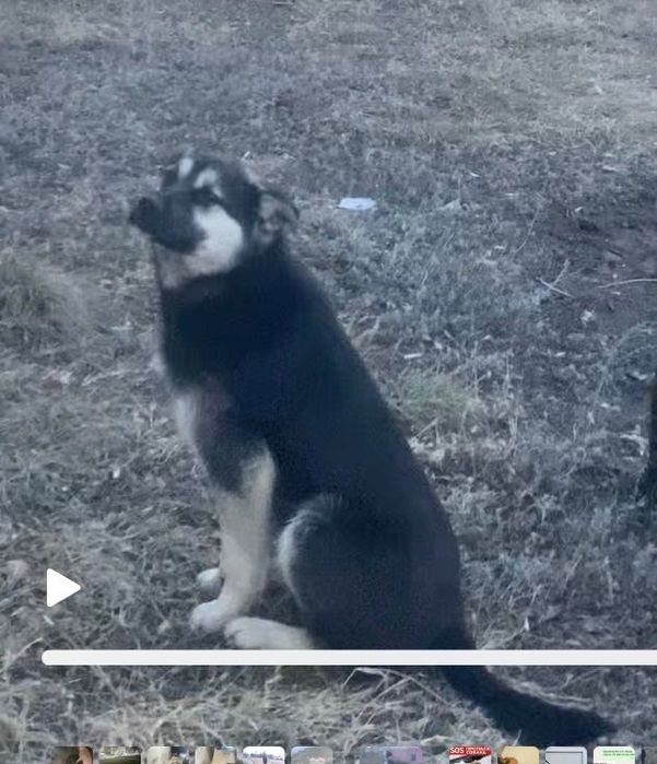 Пацанчик – не хулиганчик