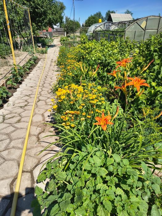 Продам дачу на Солнечной долине