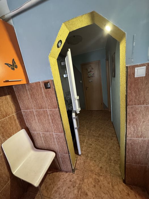 Dau in chirie apartament ,se acceptă animal de companie talie medie/mică