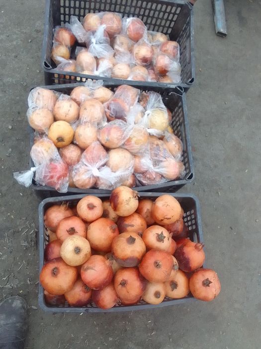 Anor sharbatlari sotiladi