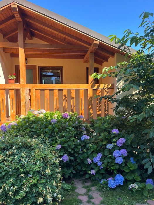 Cazare munte cabana