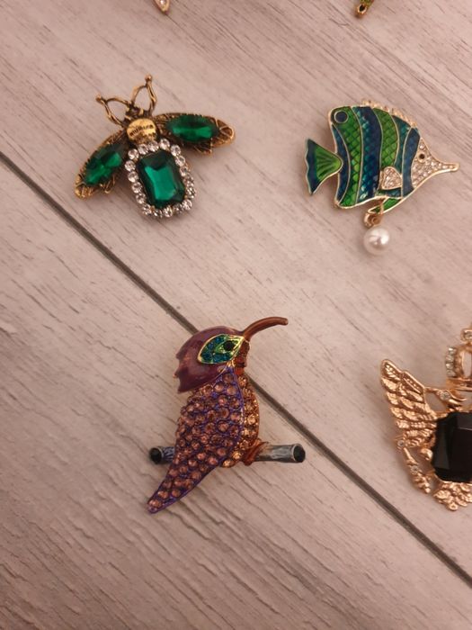 Brose noi superbe deosebite libelula cal pantera peste albina coroana