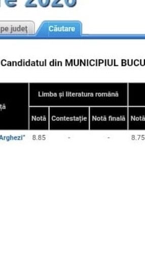 Meditații limba română