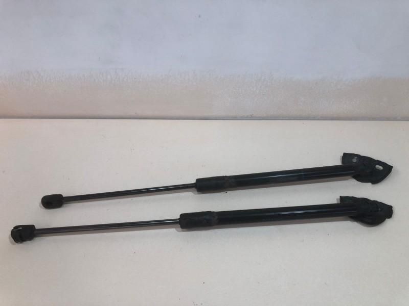 Set telescoape haion Renault Megane 3 Break 844300009R