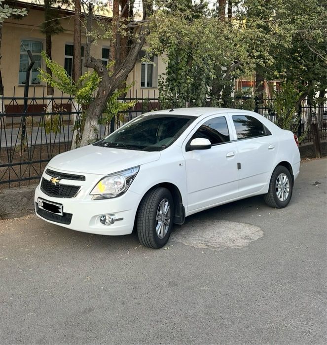 Cobalt GX-Style 2024 tozza