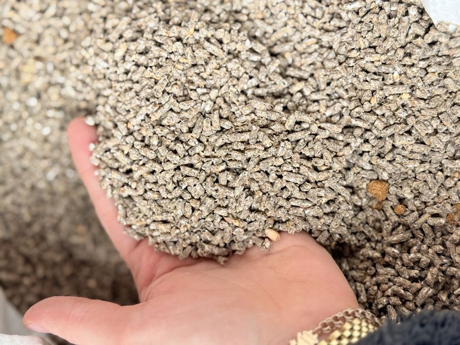 Несушка в мешках