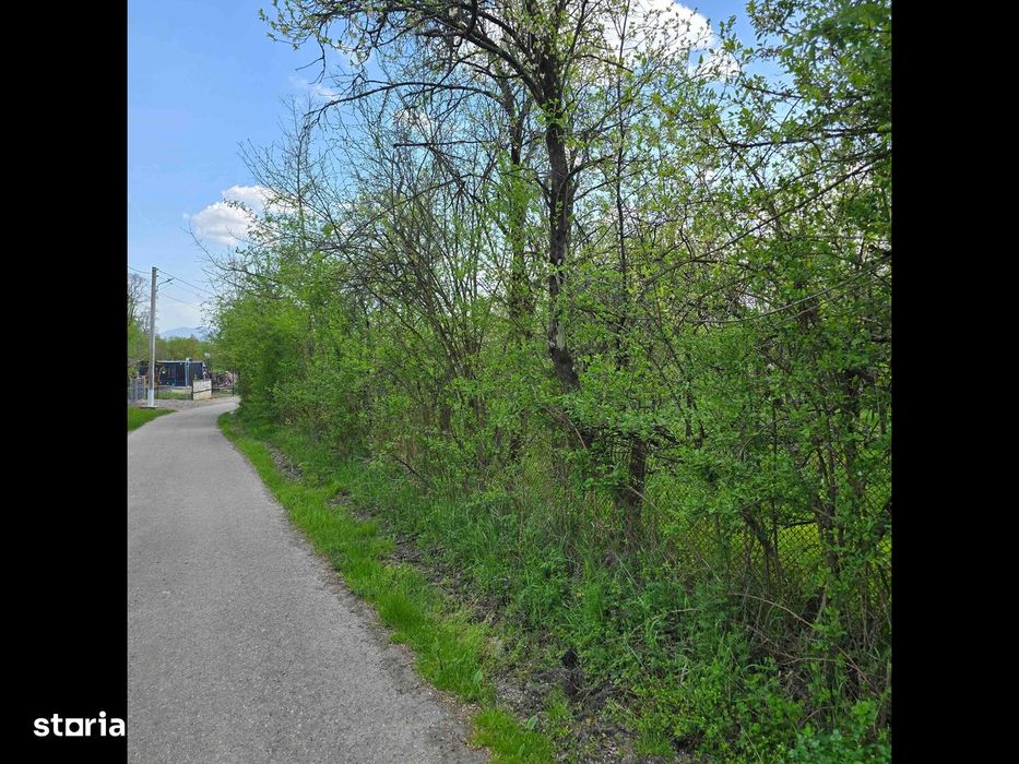 Teren intravilan cu nr.de casă.