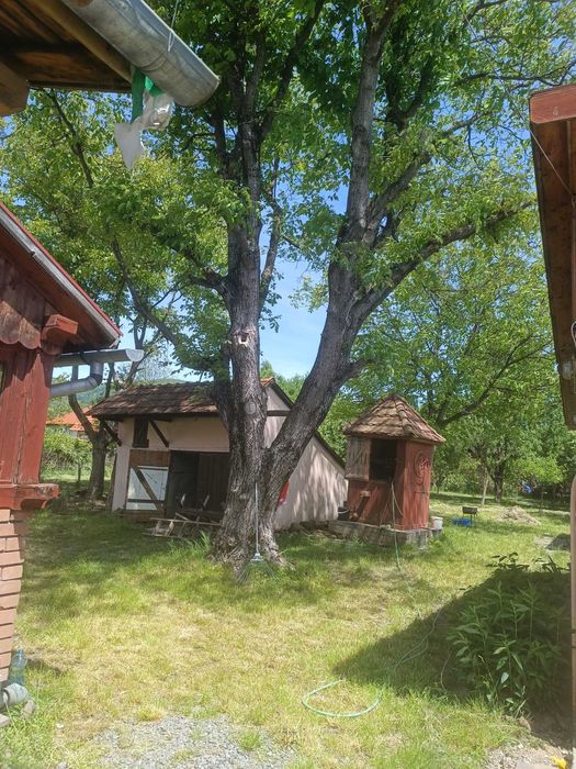 Casa de vanzare in Sovata