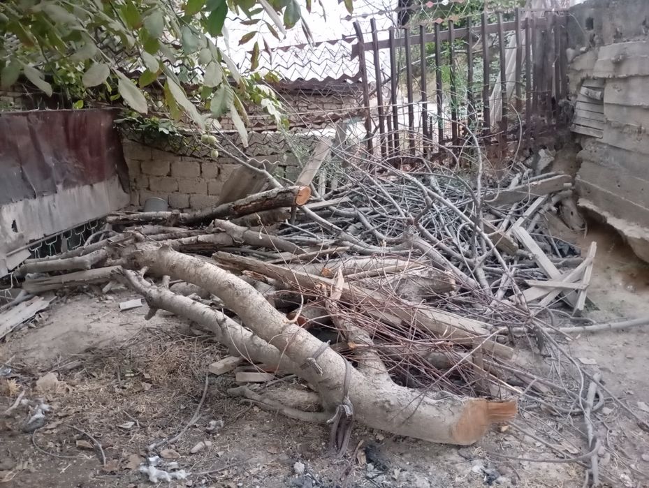 Отин сотаман куриган