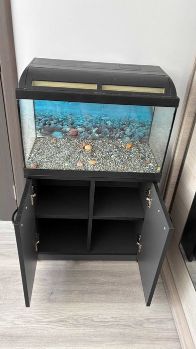 Acvariu 63L cu mobilier – stare foarte bună