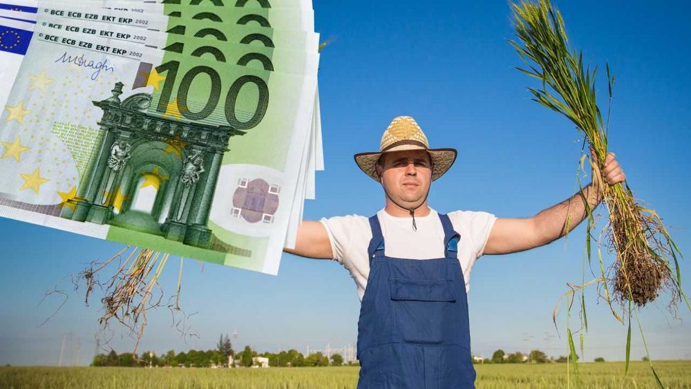 CREDIT și investiții în comerț, imobiliare, agricultură și afaceri