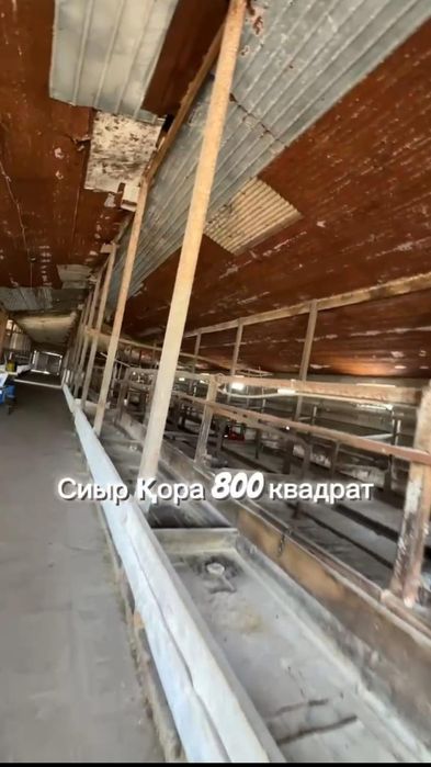 Фазенда 17 Гектаров