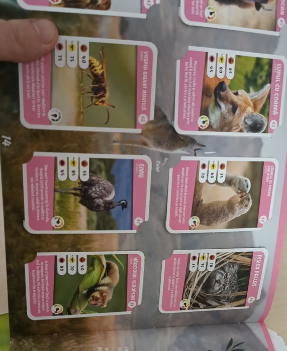 cartonașe Mega Image pentru colectie Expeditie in Jurul Lumii