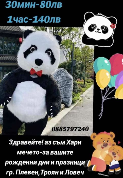 Аниматор Пандата Хари и Стич