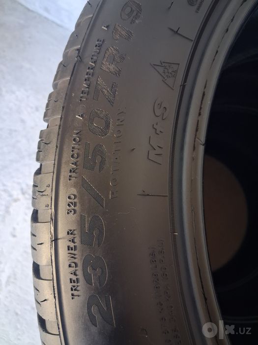 Byd championtushadigan balon