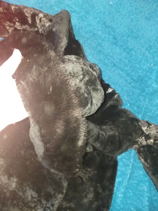 Шуба мутон с норкой