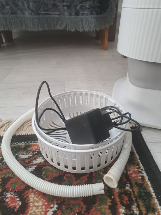 Обмен на комнатные цветы