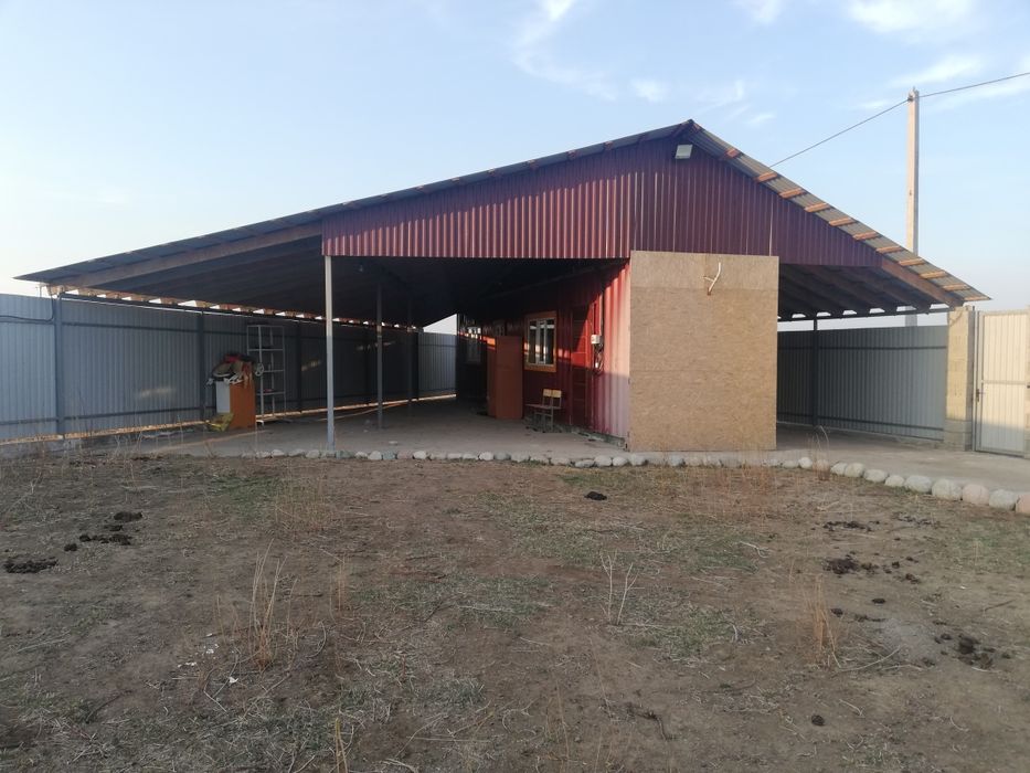 Фазенда для откорма на 60голов