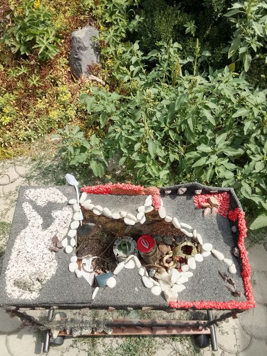 Аквариум для рыб