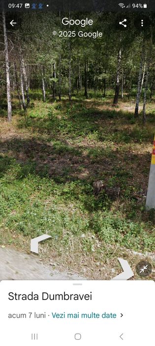 Teren intravilan  Baia de Fier