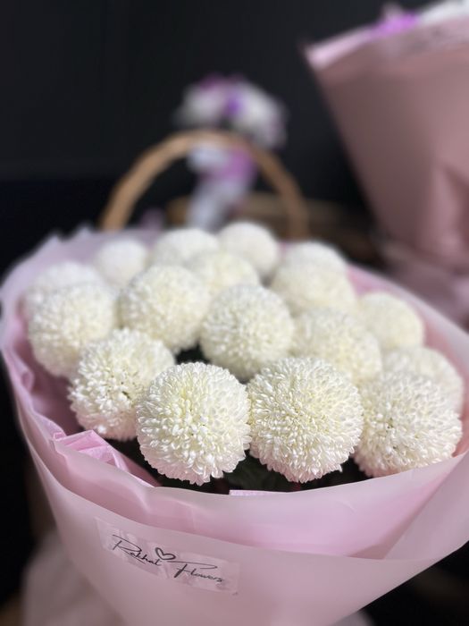 Момото Астана доставка